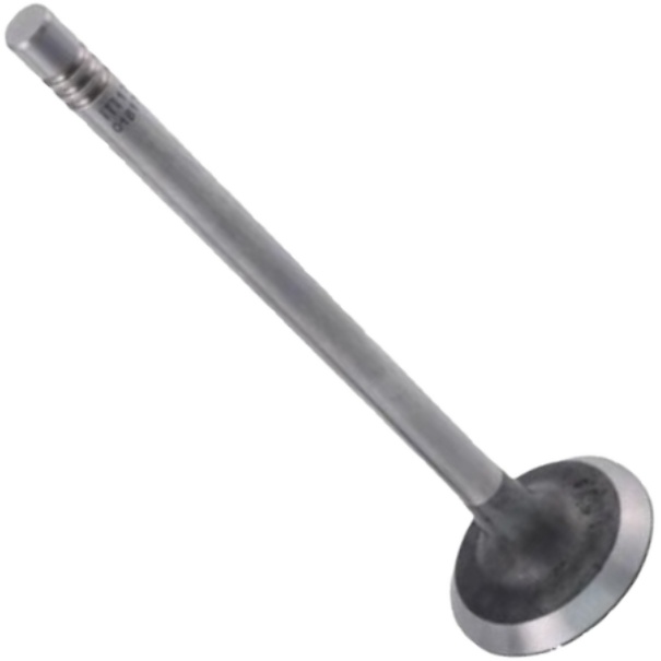 Válvula de Admissão para Renault Master - Mahle Metal Leve - VA0181766 STD