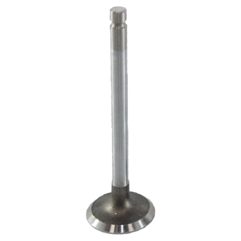 Válvula de Admissão - Mahle Metal Leve - VA0250002 STD