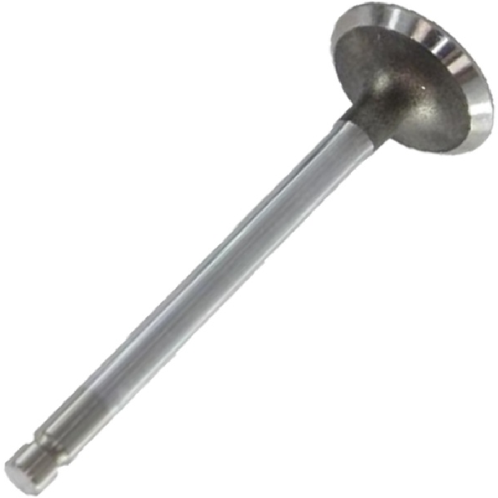 Válvula de Admissão - Mahle Metal Leve - VA0250002 STD