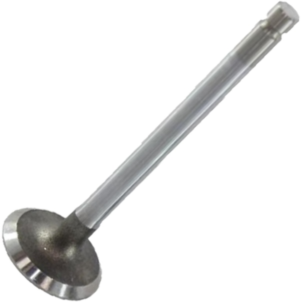 Válvula de Admissão - Mahle Metal Leve - VA0250002 STD