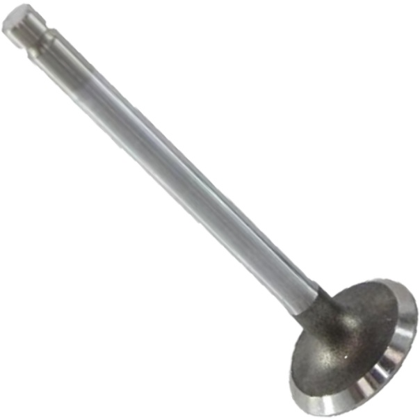 Válvula de Admissão - Mahle Metal Leve - VA0250002 STD