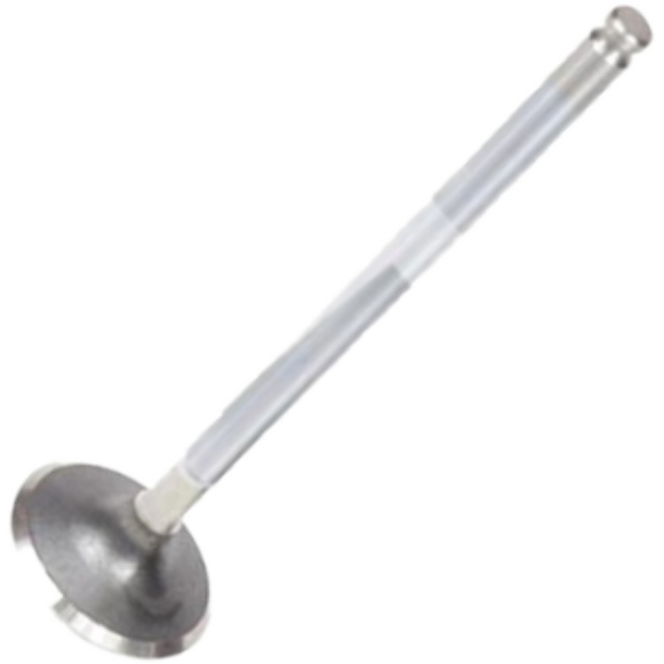 Válvula de Admissão para Fiat Tempra e Tipo - Mahle Metal Leve - VA0250052 STD