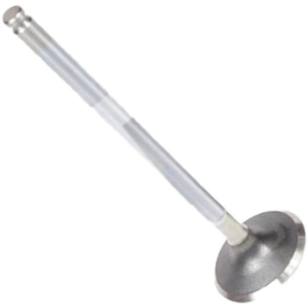 Válvula de Admissão para Fiat Tempra e Tipo - Mahle Metal Leve - VA0250052 STD