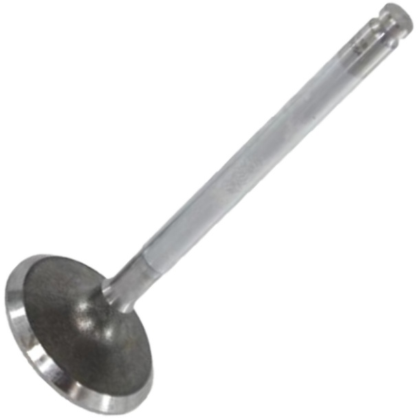 Válvula de Admissão - Mahle Metal Leve - VA0250054 STD