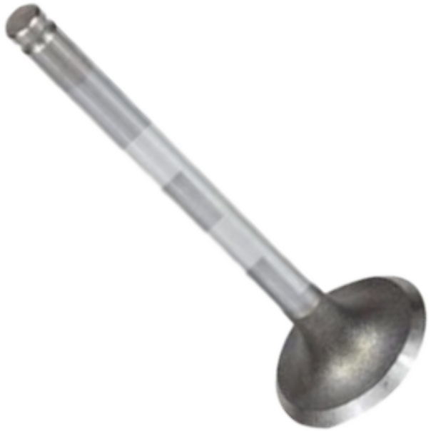 Válvula de Admissão - Mahle Metal Leve - VA0250060 STD