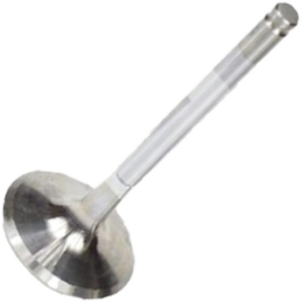 Válvula de Admissão para Fiat Tempra e Tempra SW - Mahle Metal Leve - VA0250159 STD