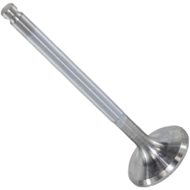Válvula de Admissão - Mahle Metal Leve - VA0250162 STD