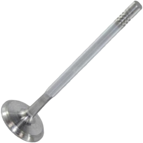 Válvula de Admissão - Mahle Metal Leve - VA0250166 STD