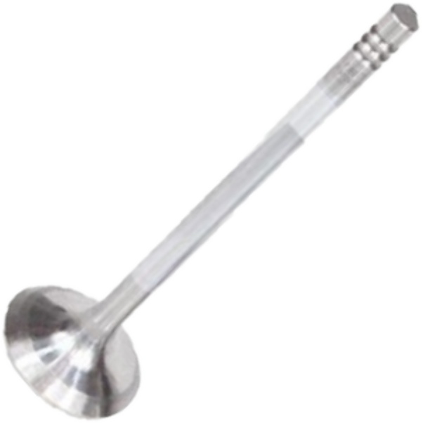 Válvula de Admissão - Mahle Metal Leve - VA0250168 STD