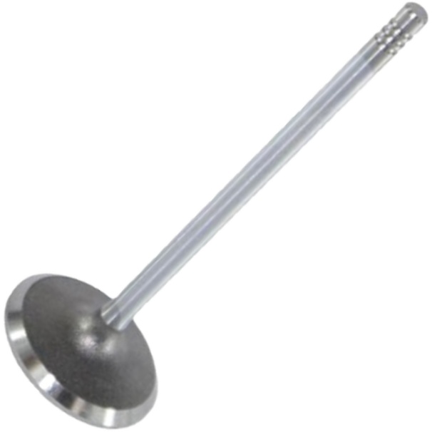Válvula de Admissão - Mahle Metal Leve - VA0250271 STD