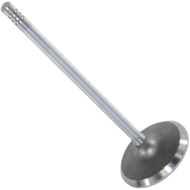 Válvula de Admissão - Mahle Metal Leve - VA0250271 STD
