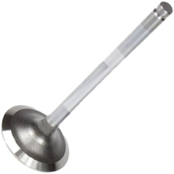 Válvula de Admissão - Mahle Metal Leve - VA0250513 STD