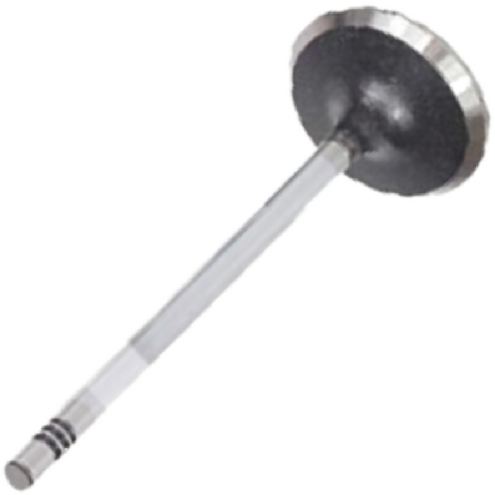 Válvula de Admissão - Mahle Metal Leve - VA0251614 STD