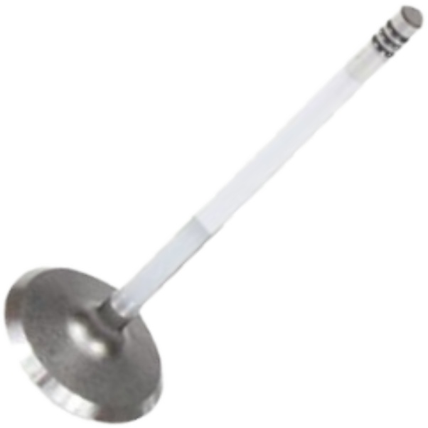Válvula de Admissão para Fiat Siena - Mahle Metal Leve - VA0251633 STD
