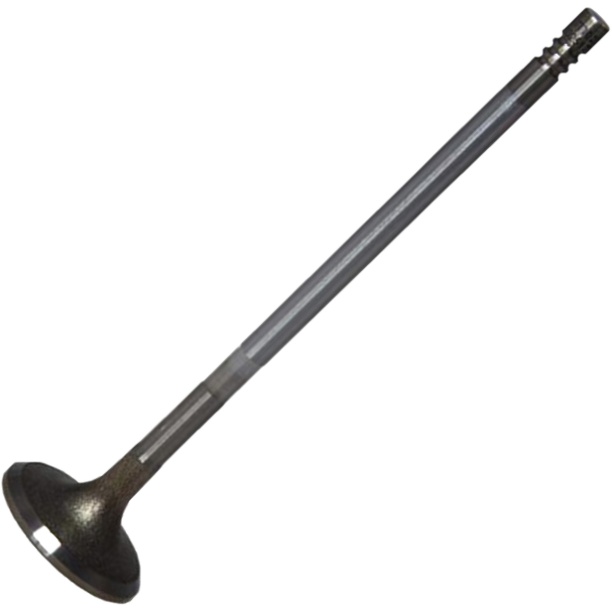 Válvula de Admissão - Mahle Metal Leve - VA0251777 STD