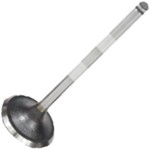 Válvula de Admissão para Peugeot 306 e 306 Break - Mahle Metal Leve - VA0440561 STD
