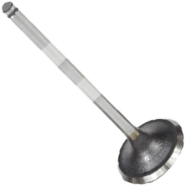 Válvula de Admissão para Peugeot 306 e 306 Break - Mahle Metal Leve - VA0440561 STD