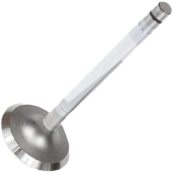 Válvula de Admissão para Peugeot 504 - Mahle Metal Leve - VA0440567 STD