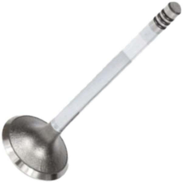 Válvula de Admissão para Citroen Xantia e Peugeot 306 - Mahle Metal Leve - VA0440569 STD