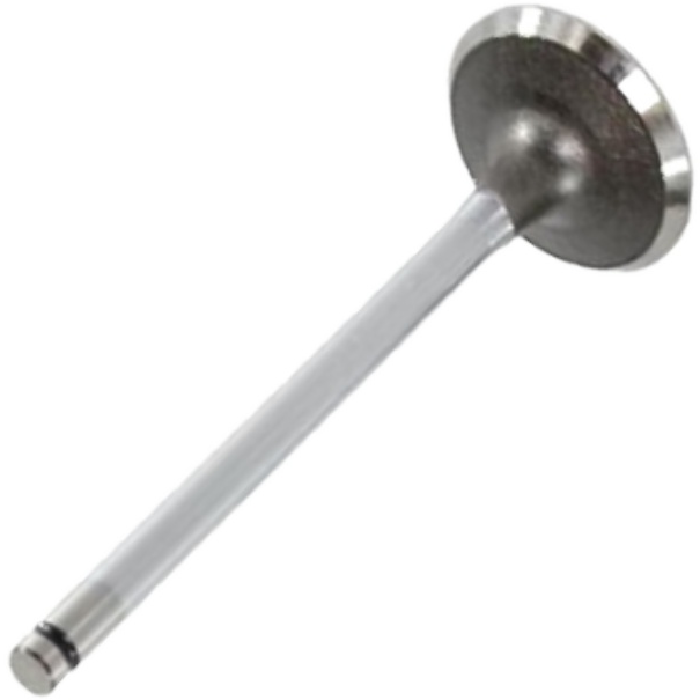 Válvula de Admissão - Mahle Metal Leve - VA0441091 STD