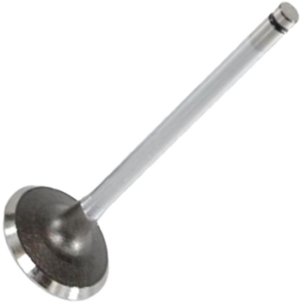 Válvula de Admissão - Mahle Metal Leve - VA0441091 STD