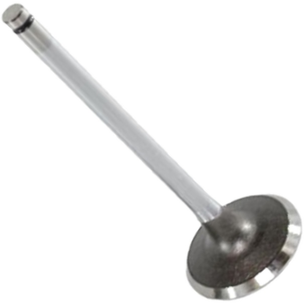 Válvula de Admissão - Mahle Metal Leve - VA0441091 STD