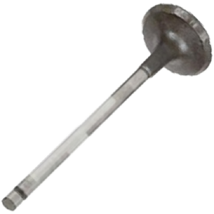 Válvula de Admissão - Mahle Metal Leve - VA0441701 STD
