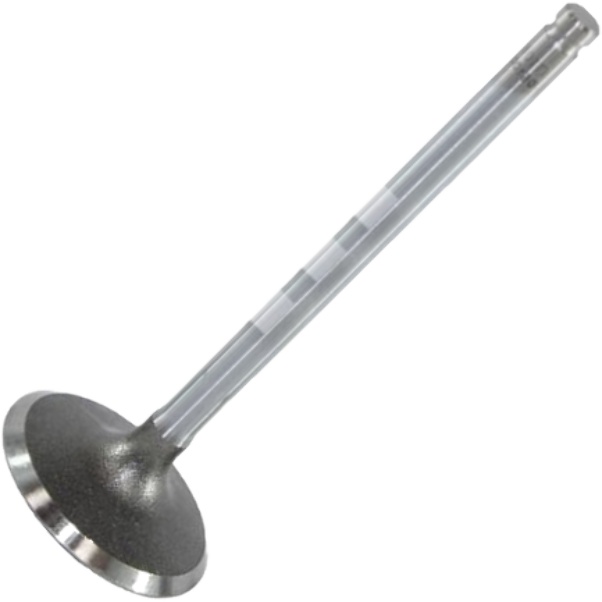 Válvula de Admissão para Honda CBX 150 Aero e NX 150 - Mahle Metal Leve - VA0510070 STD