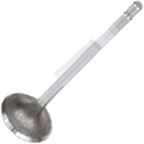 Válvula de Admissão para Honda Turuna 125 - Mahle Metal Leve - VA0510115 STD