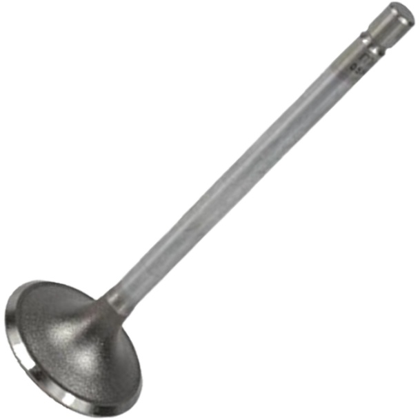 Válvula de Admissão - Mahle Metal Leve - VA0510116 STD