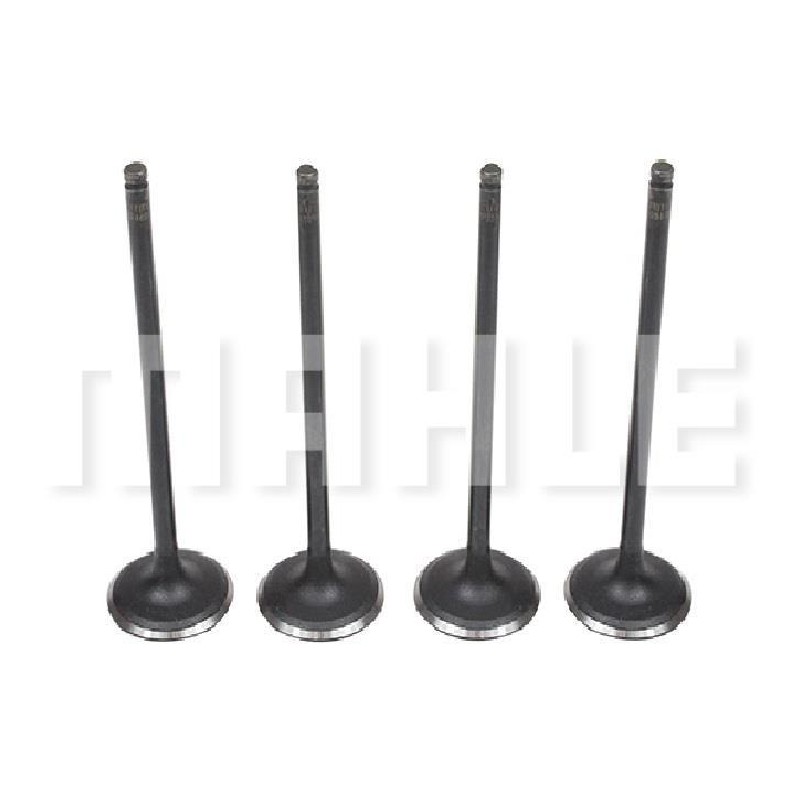 Jogo de Válvulas de Admissão Std - Mahle Metal Leve - VA0510257 STD