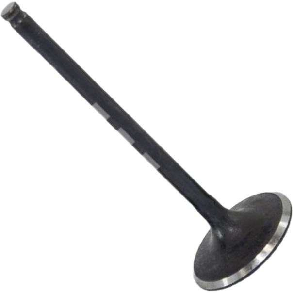 Válvula de Admissão para Honda CG 150 e NXR 150 BROS - Mahle Metal Leve - VA0511425 STD