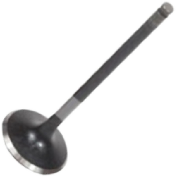 Válvula de Admissão para Honda CG 160 e NXR 160 BROS - Mahle Metal Leve - VA0511696 STD