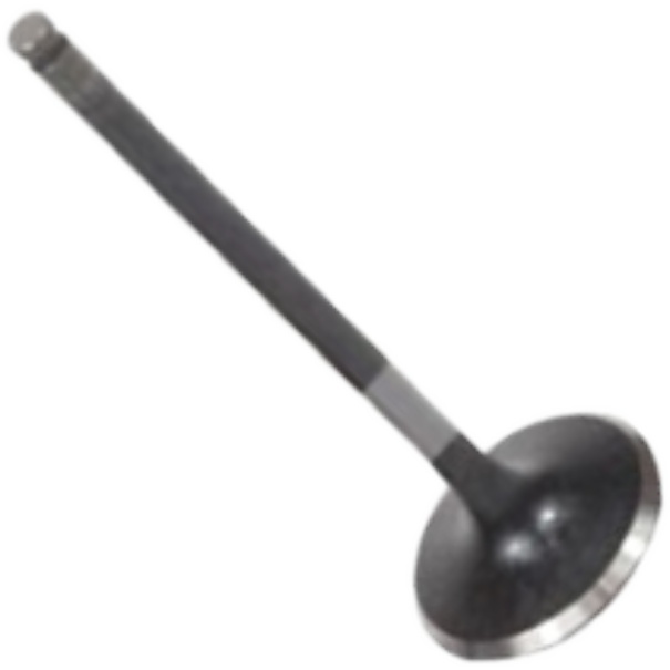 Válvula de Admissão para Honda CG 160 e NXR 160 BROS - Mahle Metal Leve - VA0511696 STD