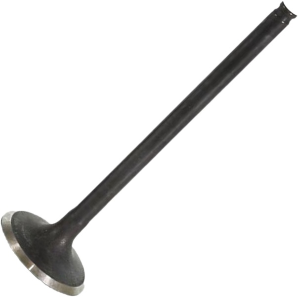 Válvula de Admissão para Honda CB 250 Twister - Mahle Metal Leve - VA0511744 STD
