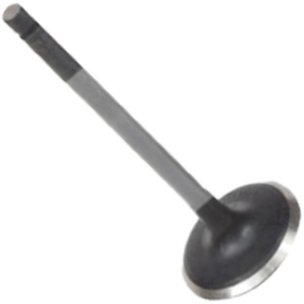 Válvula de Admissão - Mahle Metal Leve - VA0521670 STD