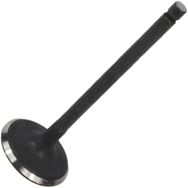 Válvula de Admissão - Mahle Metal Leve - VA0521673 STD