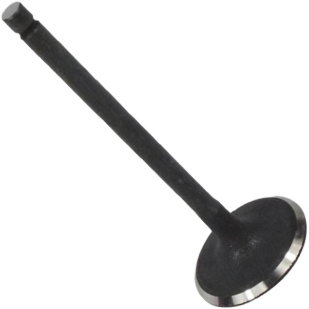 Válvula de Admissão - Mahle Metal Leve - VA0521673 STD