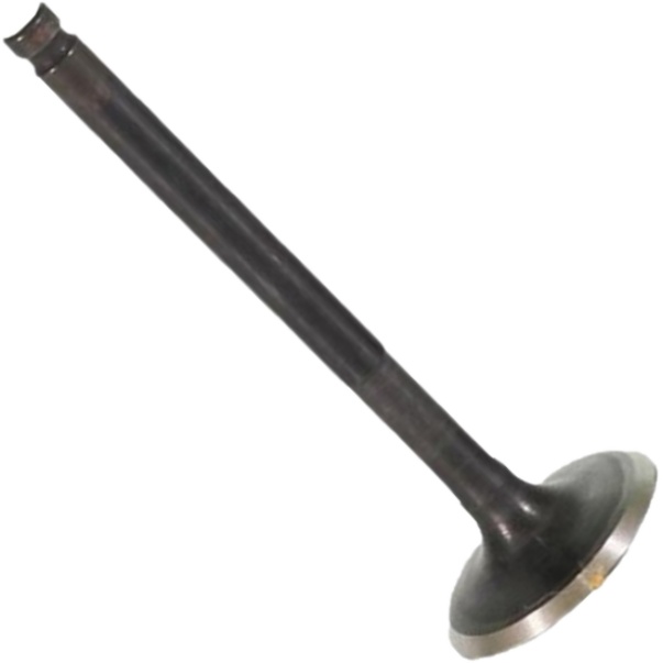 Válvula de Admissão para Yamaha NEO AT 115 - Mahle Metal Leve - VA0521720 STD