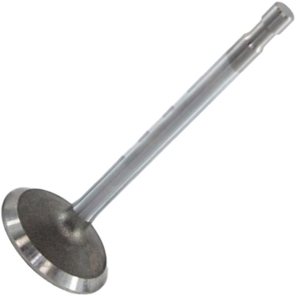 Válvula de Admissão - Mahle Metal Leve - VA0590044 STD