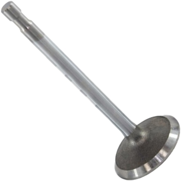 Válvula de Admissão - Mahle Metal Leve - VA0590044 STD