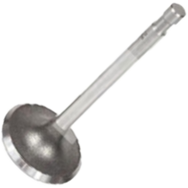 Válvula de Admissão - Mahle Metal Leve - VA0590094 STD