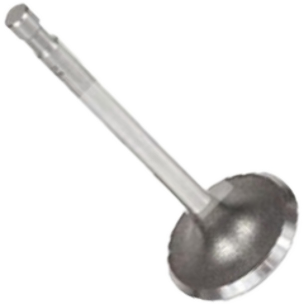 Válvula de Admissão - Mahle Metal Leve - VA0590094 STD