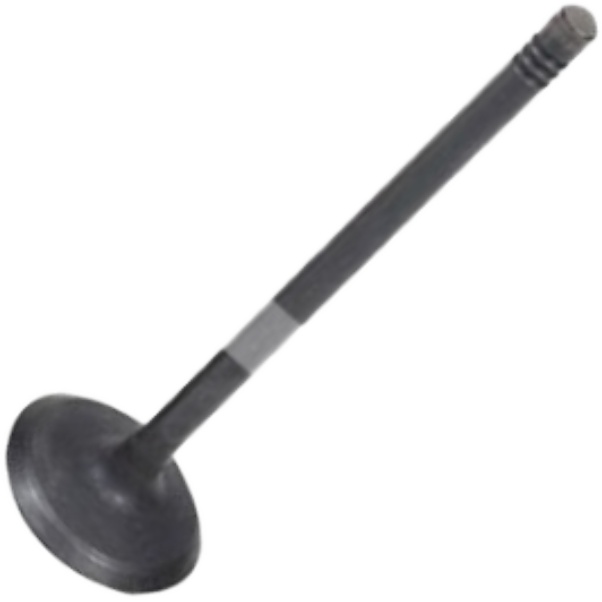 Válvula de Admissão - Mahle Metal Leve - VA0591474 STD