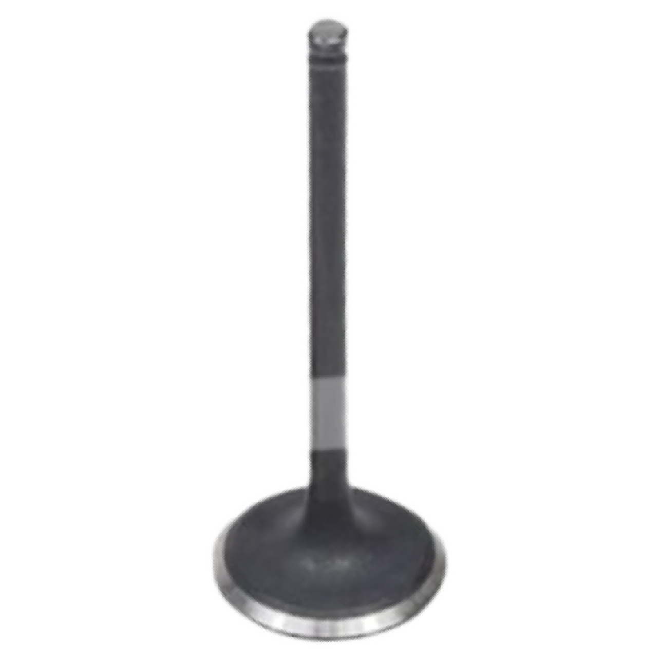 Válvula de Admissão para Toyota Corolla e Fielder - Mahle Metal Leve - VA0630207 STD