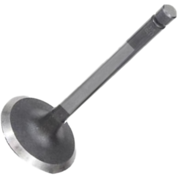 Válvula de Admissão para Toyota Hilux - Mahle Metal Leve - VA0630213 STD