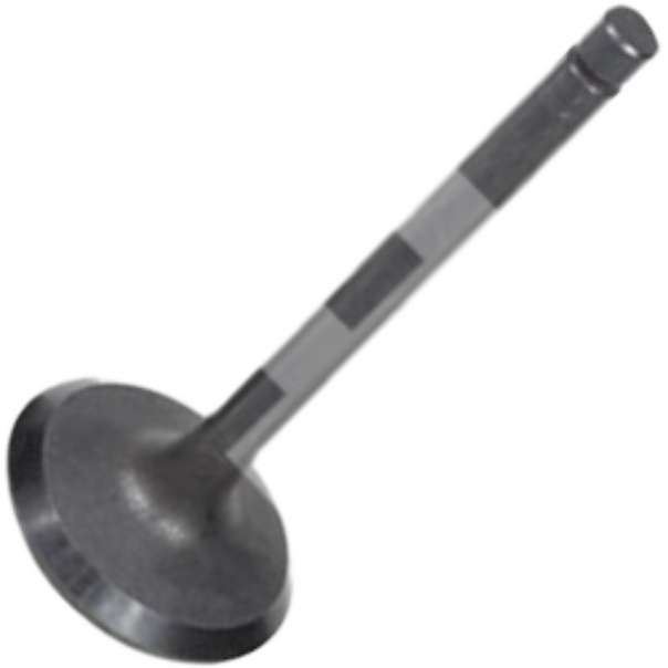 Válvula de Admissão para Toyota Hilux e Hilux SW4 - Mahle Metal Leve - VA0630240 STD