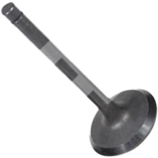 Válvula de Admissão para Toyota Hilux e Hilux SW4 - Mahle Metal Leve - VA0630240 STD