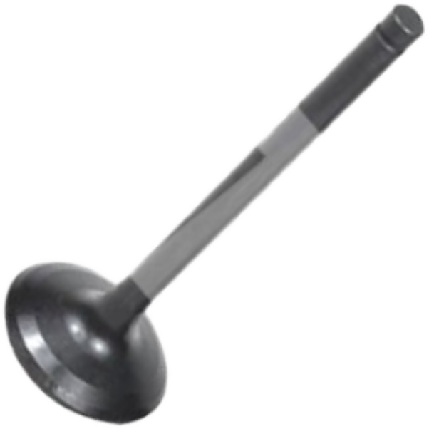 Válvula de Admissão para Toyota Bandeirante - Mahle Metal Leve - VA0630259 STD