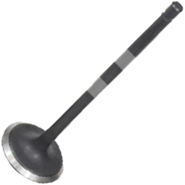 Válvula de Admissão para Toyota Corolla - Mahle Metal Leve - VA0631550 STD